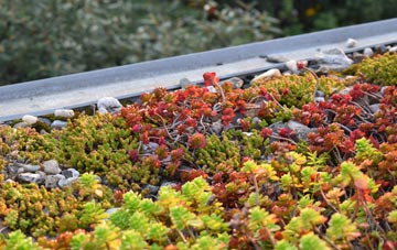 the cost of Rawnsley green roof installation
