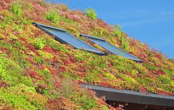Rawnsley living roof systems