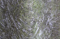 Rawnsley fibreglass roof work